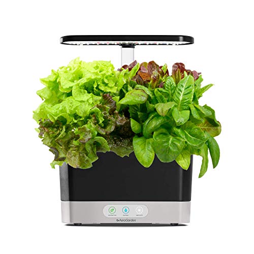 AeroGarden Raccolta - Con kit di baccelli di insalata v...