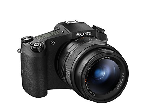 Sony Fotocamera digitale Cyber-shot DSC-RX10M II