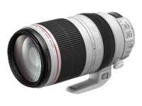 Canon Obiettivo EF 100-400mm f/4.5-5.6L IS II USM