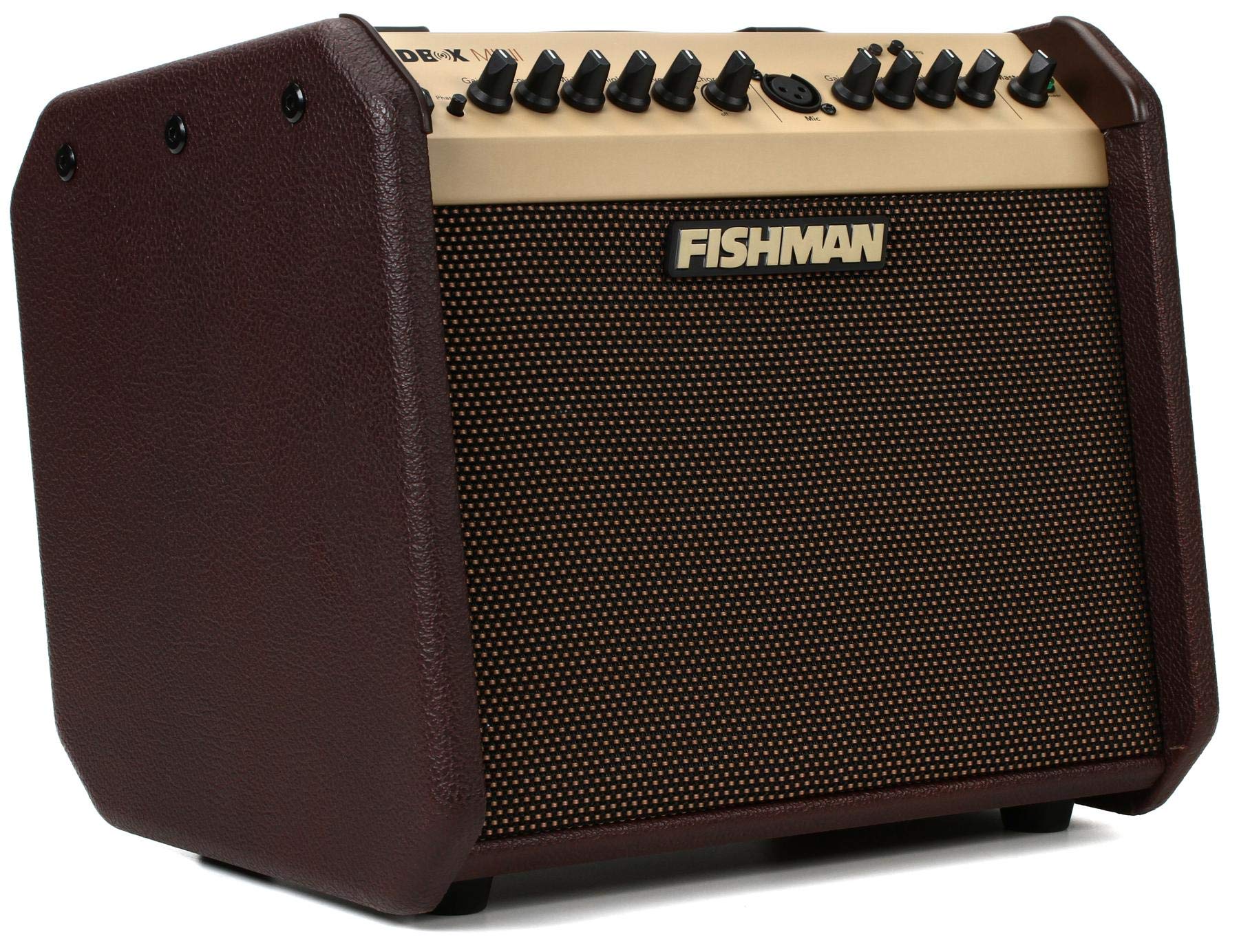 Fishman Loudbox Mini BT 60-Watt 1x6.5 pollici combo acu...