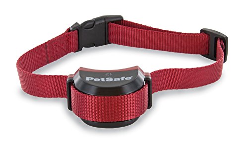 PetSafe Recinto wireless Stay & Play per cani testardi ...