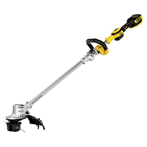 DEWALT DCBL720P1 20V MAX 5.0 Ah agli ioni di litio XR B...