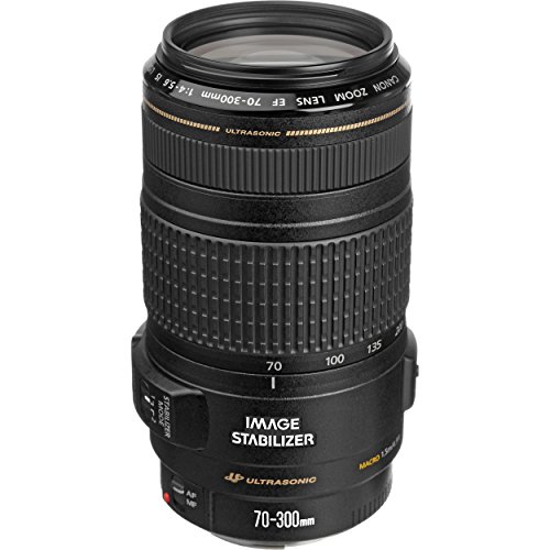 Canon Obiettivo EF 70-300mm f/4-5.6 IS USM per fotocame...