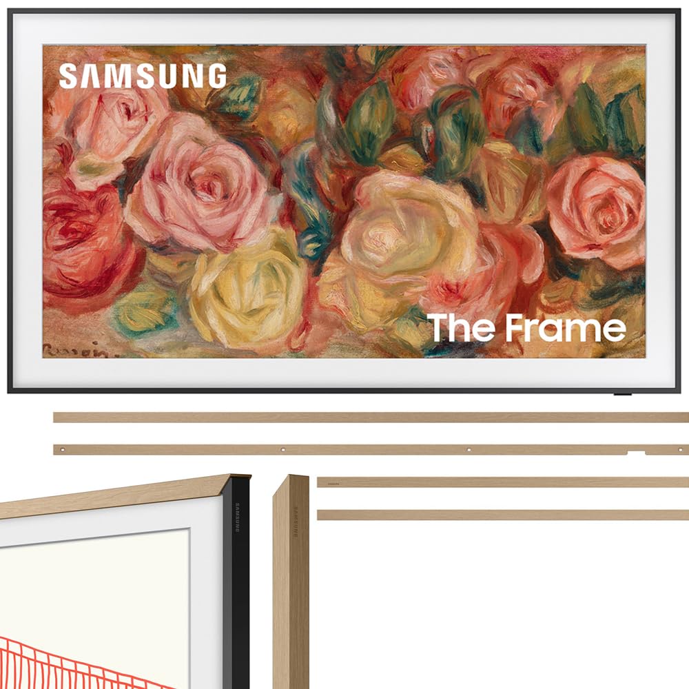 Samsung QN65LS03DA 65 pollici The Frame QLED 4K Smart T...