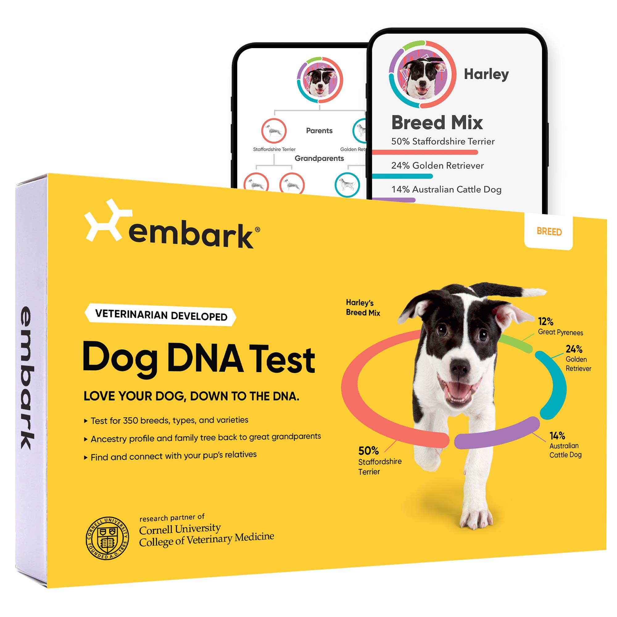 Embark Kit di identificazione della razza | Test del DN...