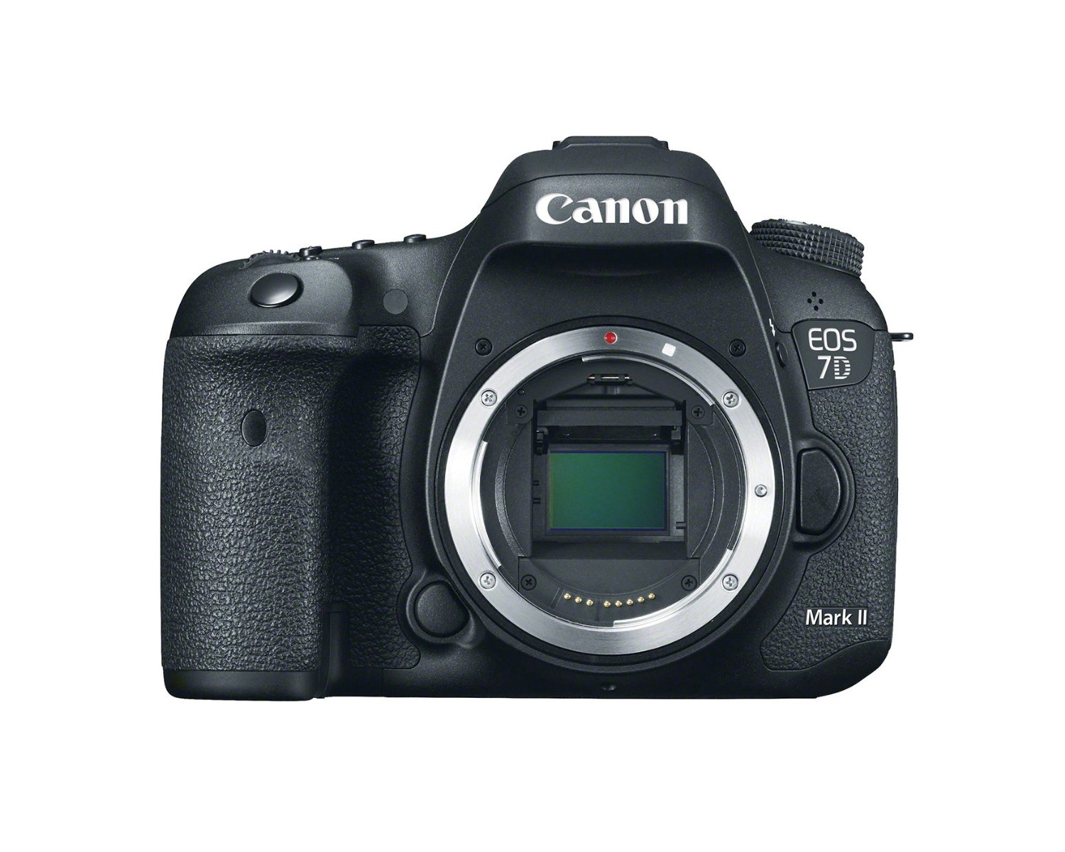 Canon Fotocamera reflex digitale EOS 7D Mark II (solo c...